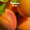 Саженец абрикоса Авиатор - комплект 5 шт.
