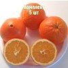 Саженцы апельсина Навелина - комплект 5 шт.