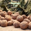 Саженцы грецкого ореха Великан - комплект 5 шт.