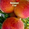 Саженцы персика Клокред - комплект 5 шт.