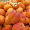 Саженцы абрикоса Снежинского - комплект 5 шт.